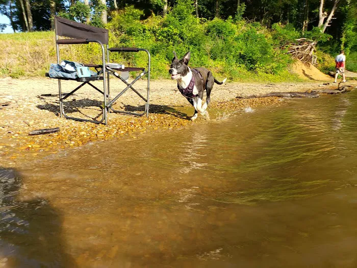 Drop Anchor RV Park Picture 8