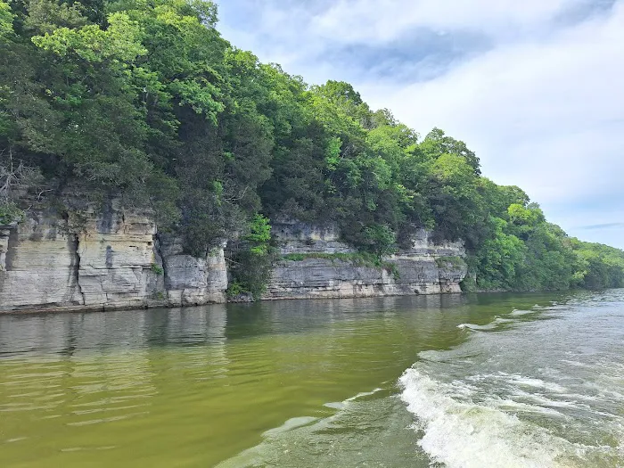 Cedar Ridge RV Park Picture 10