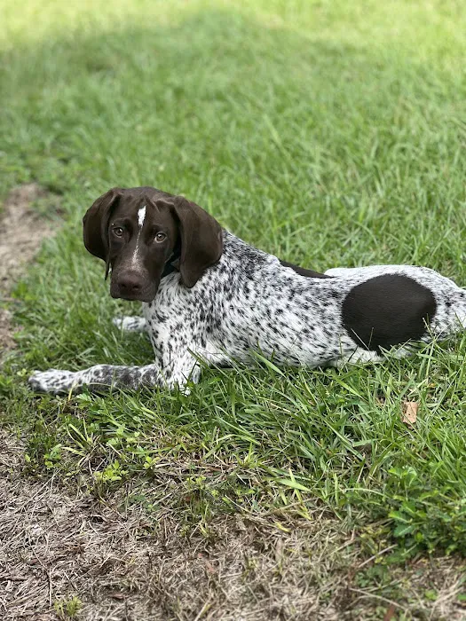 Pender’s Cove Picture 4