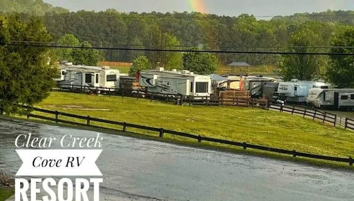 Clear Creek Cove RV Resort Picture 3
