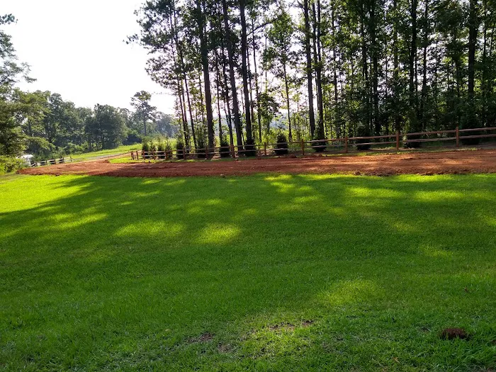 BayPoint RV Park Picture 8