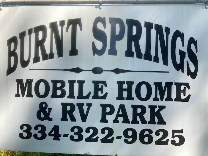 Burnt Springs RV Park Picture 5