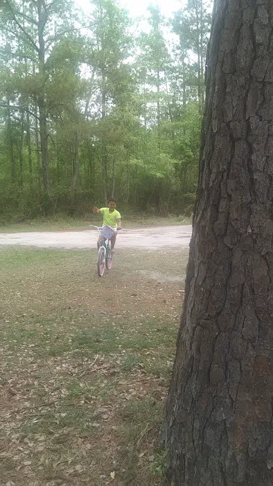 Shady Oaks Park Picture 2