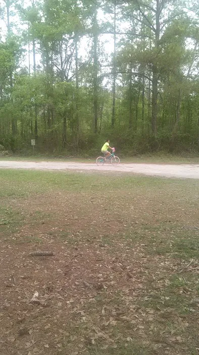 Shady Oaks Park Picture 5