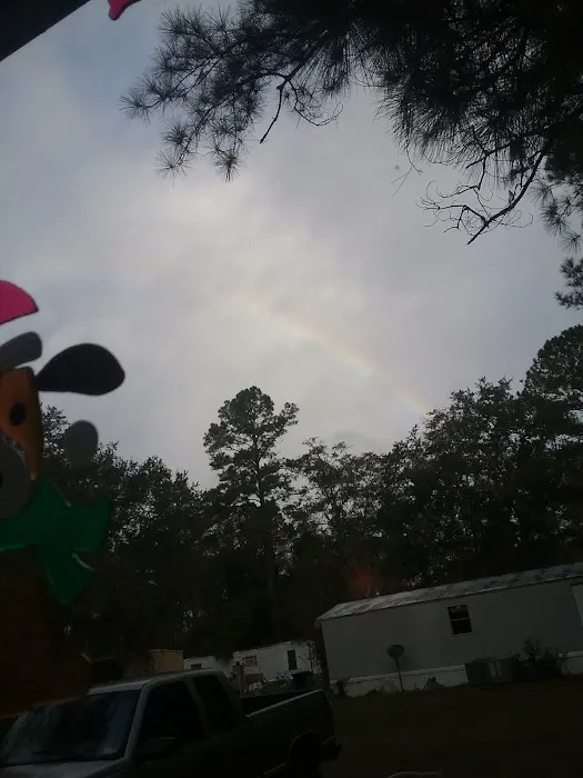 Shady Oaks Park Picture 4