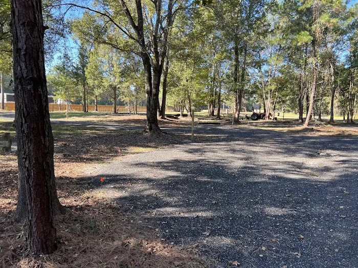 Oasis 82 RV Park Picture 4