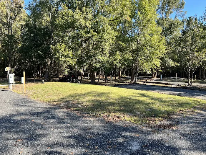 Oasis 82 RV Park Picture 5