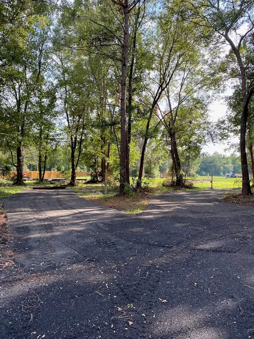 Oasis 82 RV Park Picture 6