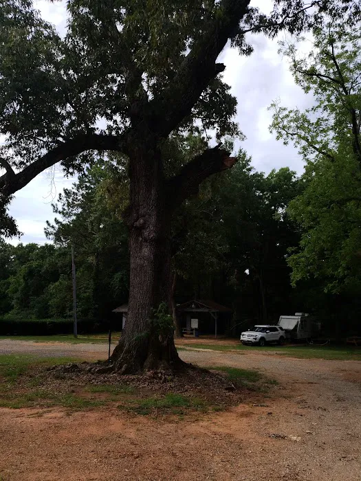 Andersonville RV Park Picture 10