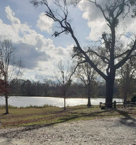 Heavenly Waters RV Park Picture 8