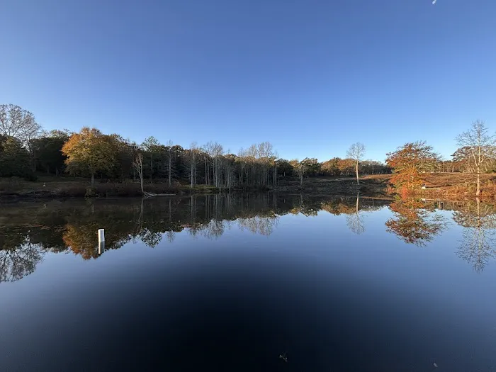 Stillwater Springs Campground and RV Park Picture 5