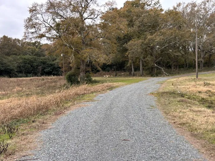 Stillwater Springs Campground and RV Park Picture 4