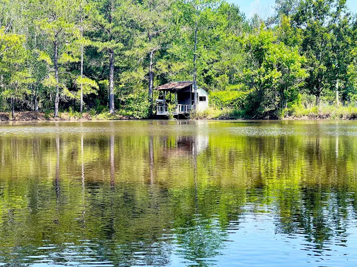 Southern Gates RV Park & Campground Picture 4