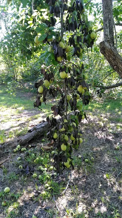 I-75 RV Park Picture 5