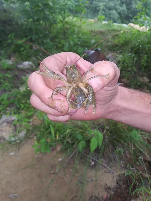 I-75 RV Park Picture 8