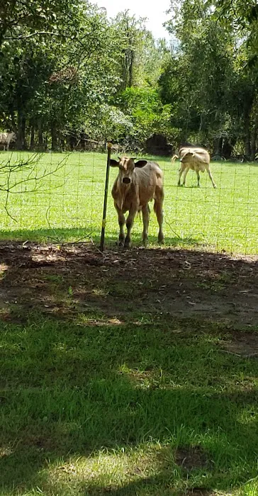 Piddlers Ridge Long-term RV Park Picture 3