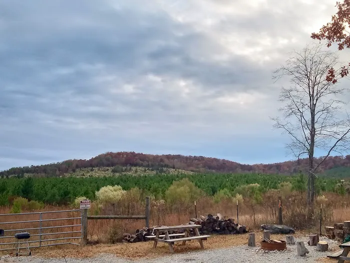 RV Park Picture 4