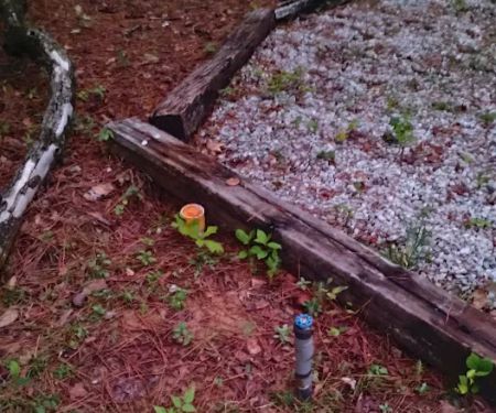 Southern Comfort RV park and campground