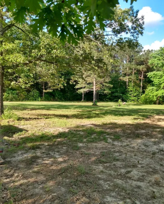 Southern Comfort RV park and campground Picture 3