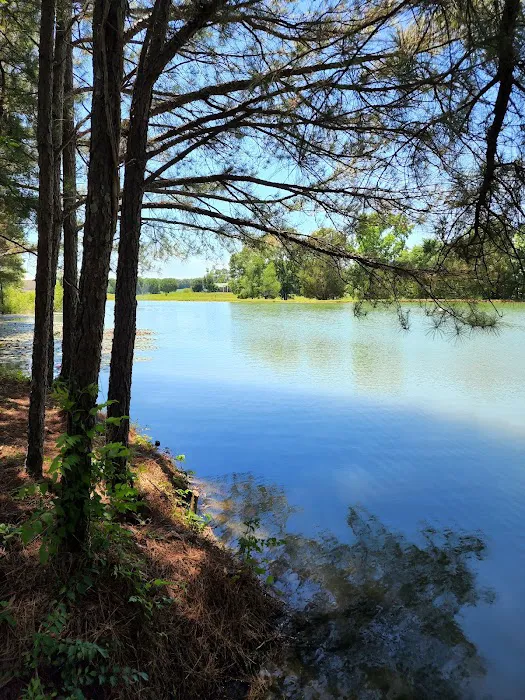 Parkers Crossroads RV Park Picture 5