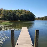 Lay Lake Camp LLC ico
