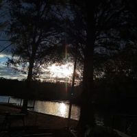 LITTLE TOM'S FISH CAMP ico