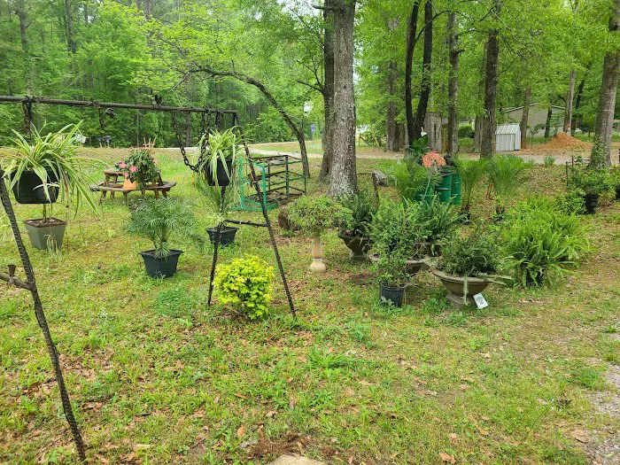 Hawks RV Park Picture 8