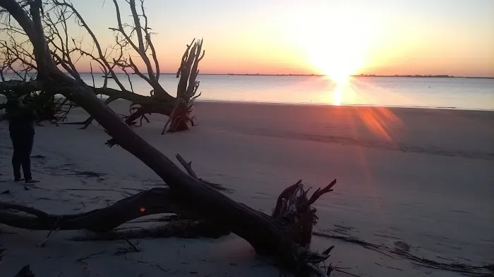 Southern Retreat RV Park Picture 10