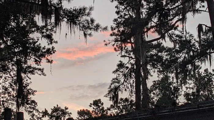 Driftwood Mobile Home Park Picture 2