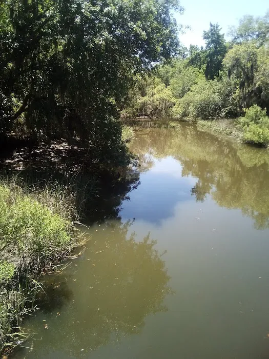 Driftwood Mobile Home Park Picture 4