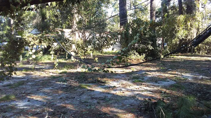 Driftwood Mobile Home Park Picture 7