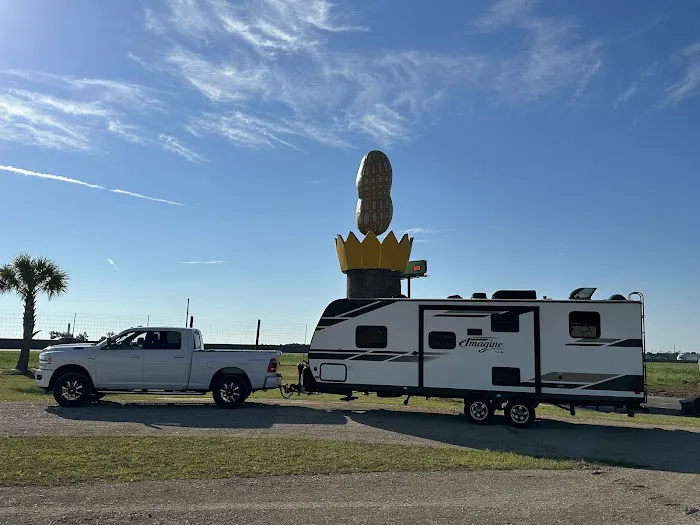 Georgia Peanut RV Park Picture 5