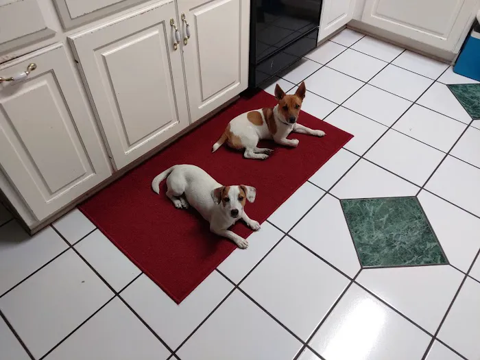 Pondside RV Park Picture 4