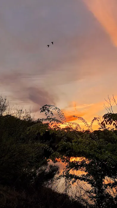 Cain's Creekside RV Park Picture 4