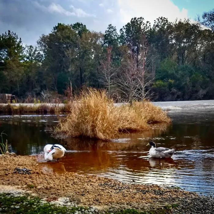 Cain's Creekside RV Park Picture 8