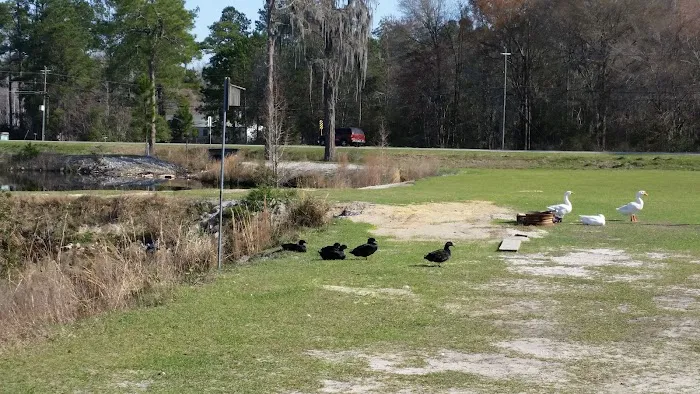 Cain's Creekside RV Park Picture 9