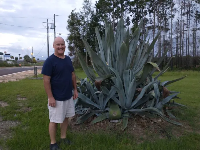 Valdosta Oaks Rv Park Picture 9