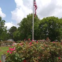 Conway Acres ico
