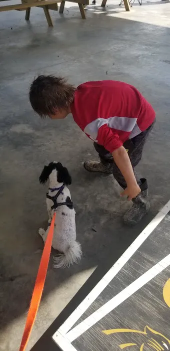 5 Points RV Resort Picture 6