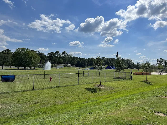 Palomino RV Resort Picture 10