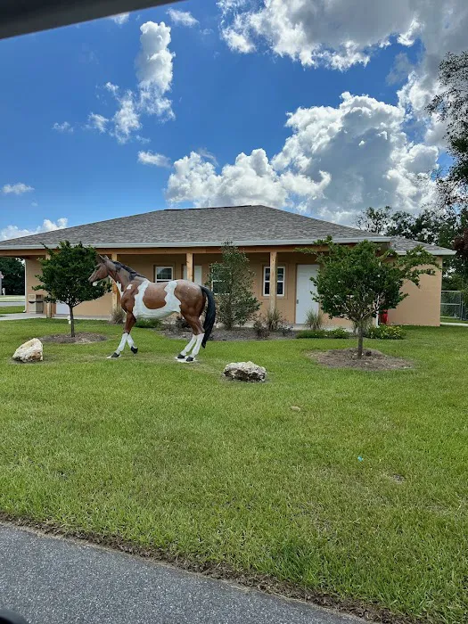 Southern Springs RV Resort Picture 5