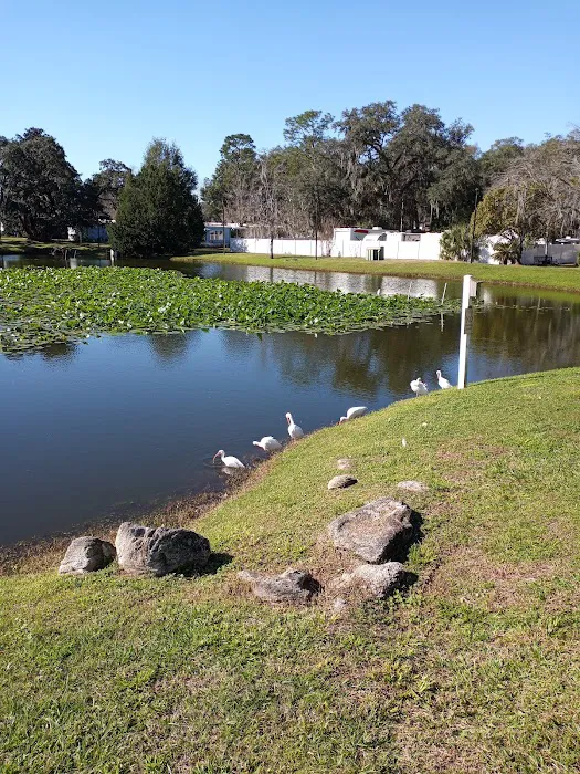 The Villas at Spanish Oaks Picture 3