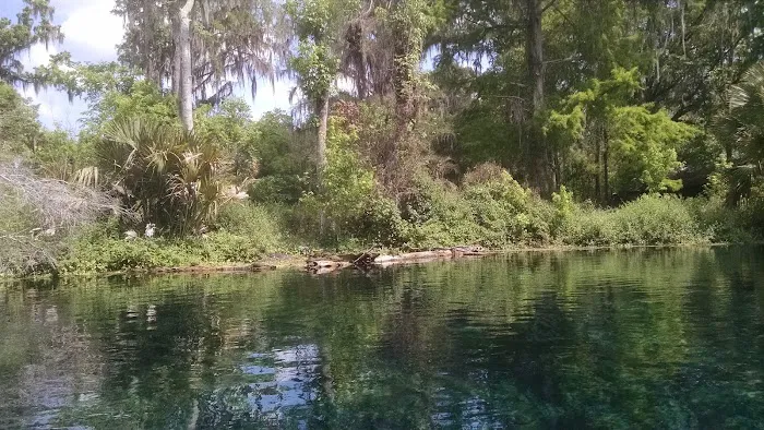 The Villas at Spanish Oaks Picture 6