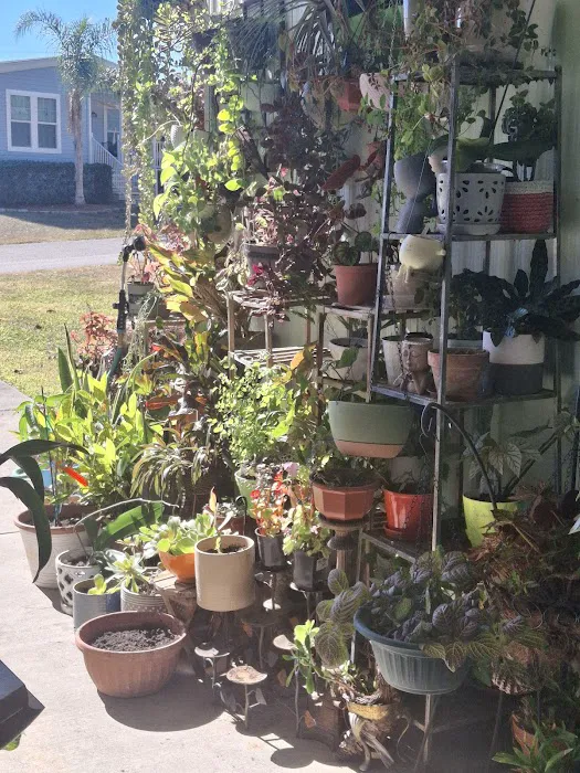 The Villas at Spanish Oaks Picture 9