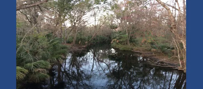 Silver Springs RV Park Picture 7