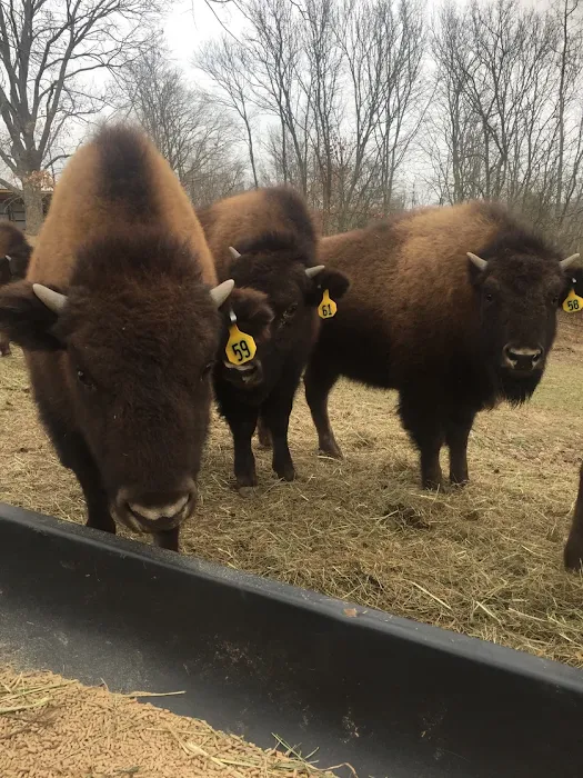 Goatey Goat Ranch RV Park & Campground Picture 7