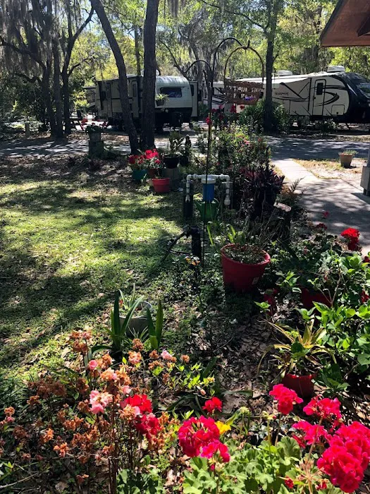 A Big Wheel RV Park Picture 5