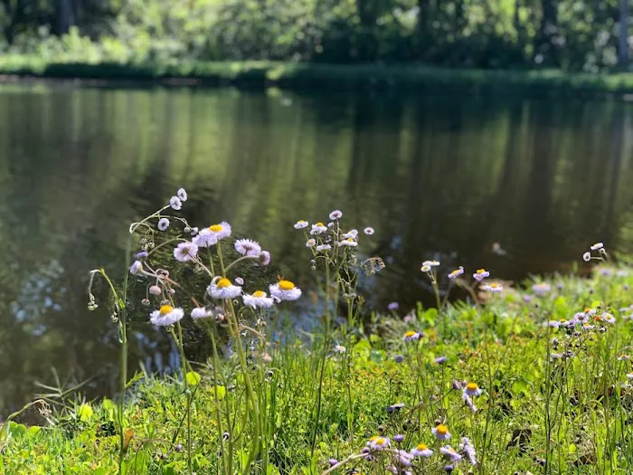 A Big Wheel RV Park Picture 9