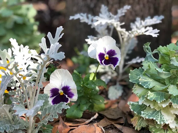 A Big Wheel RV Park Picture 10