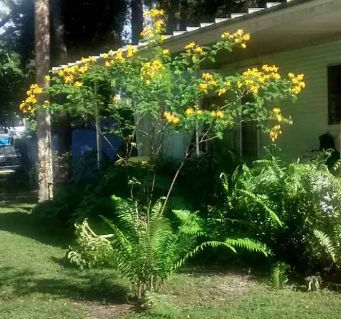 Bedrock Swifts Mobile Home Community Picture 9
